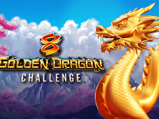 8 گولڈن ڈریگن چیلنج game icon